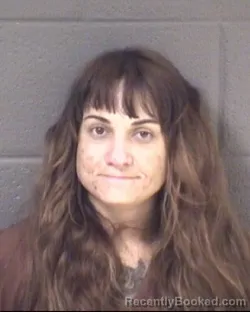 Mugshot of ALLISSA RENEE WILSON booked in Buncombe County, North Carolina on March 5, 2026