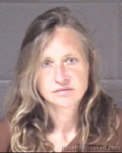 Mugshot of BRANDY DAWN BROYLES booked in Buncombe County, North Carolina on April 6, 2026
