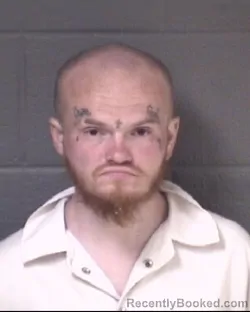 Mugshot of BRANDON ROSS L BROWN booked in Buncombe County, North Carolina on March 23, 2026