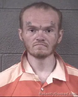 Mugshot of Brandon Ross L Brown