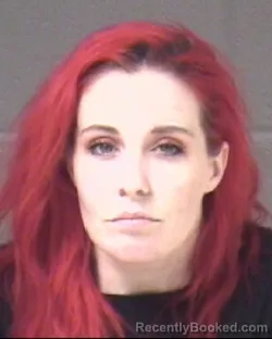 Mugshot of BRITTNEY ELAINA HARRISON booked in Buncombe County, North Carolina on July 2, 2026