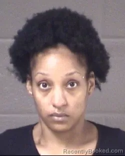 Mugshot of BRANDY LEE HIGGINS booked in Buncombe County, North Carolina on July 21, 2026