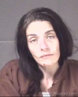 Mugshot of BRANDY LEIGH ROSA booked in Buncombe County, North Carolina on May 11, 2026