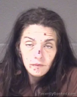 Mugshot of Brandy Leigh Rosa