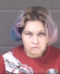 Mugshot of BRANDY LEIGH FLEMING SPARKS