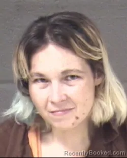 Mugshot of BRANDY LEIGH FLEMING SPARKS booked in Buncombe County, North Carolina on May 13, 2026