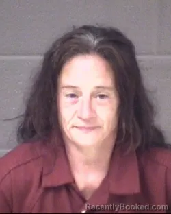 Mugshot of BRANDY MARIE WARDRUP booked in Buncombe County, North Carolina on June 30, 2026