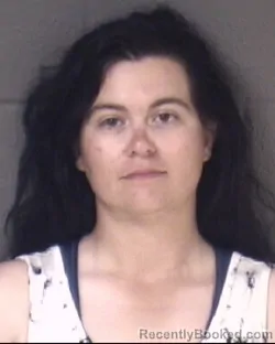 Mugshot of CRYSTAL DAWN BAILEY booked in Buncombe County, North Carolina on August 4, 2026