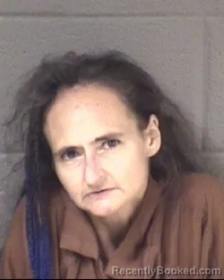 Mugshot of Candi Dawn Boyette booked in Buncombe County, North Carolina on August 22, 2026