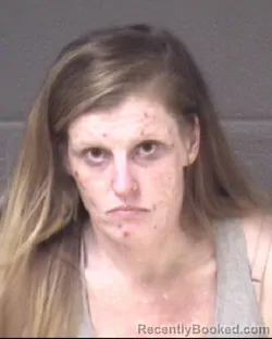 Mugshot of CASEY LEIGH ELLIS booked in Buncombe County, North Carolina on August 4, 2026