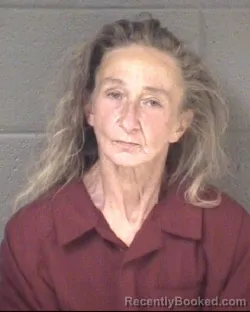 Mugshot of CINDY LEE GIBSON booked in Buncombe County, North Carolina on June 25, 2026