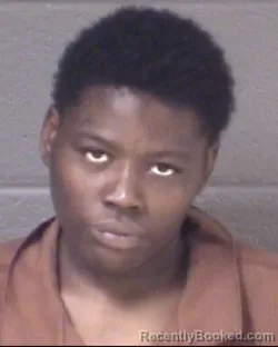 Mugshot of CHEYRAE ANN HOLLOWAY booked in Buncombe County, North Carolina on July 6, 2026