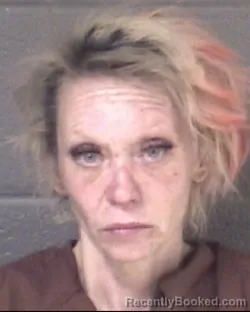 Mugshot of CHERYL ANNE HANEY