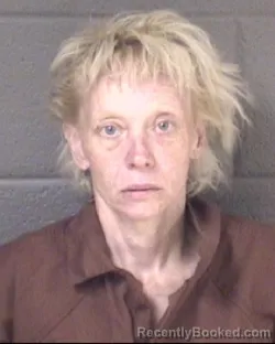 Mugshot of CHERYL ANNE HANEY booked in Buncombe County, North Carolina on March 22, 2026