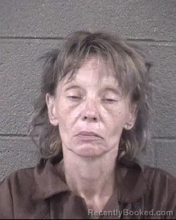 Mugshot of Cheryl Anne Haney booked in Buncombe County, North Carolina on August 16, 2026