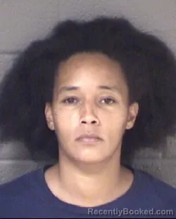 Mugshot of Chanelle Delane Horne booked in Buncombe County, North Carolina on August 29, 2026