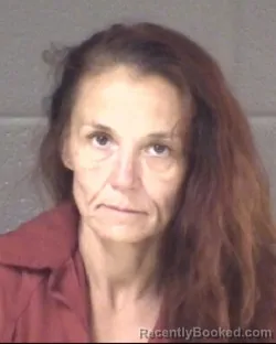 Mugshot of Crystal Gail Hullander