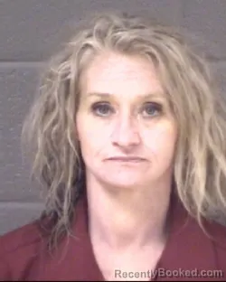 Mugshot of CRYSTAL MICHELLE HILL booked in Buncombe County, North Carolina on April 2, 2026