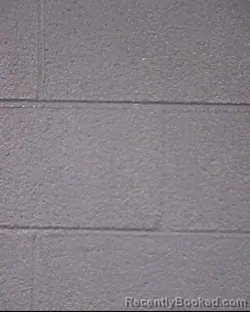 Mugshot of CHARLES JAMES M ILL