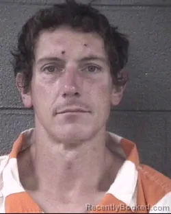 Mugshot of CHRISTOPHER ANTHONY WALSH booked in Buncombe County, North Carolina on May 20, 2026