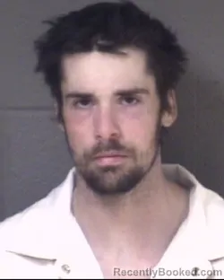 Mugshot of DIAMOND JERRYCHO BURLESON