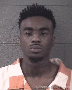 Mugshot of DELVON WAITEL HARVIN booked in Buncombe County, North Carolina on July 20, 2026