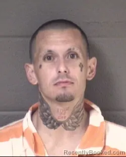 Mugshot of Dylan Barry Snedden booked in Buncombe County, North Carolina on August 17, 2026