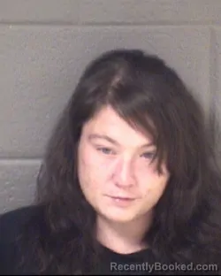 Mugshot of Devyn Jennifer Ann Smith booked in Buncombe County, North Carolina on August 23, 2026