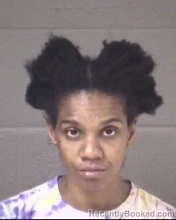 Mugshot of EUNIQUE RAYANNA HARRIS booked in Buncombe County, North Carolina on March 31, 2026