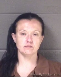 Mugshot of ERIN ELIZABETH MCQUILLEN booked in Buncombe County, North Carolina on April 3, 2026