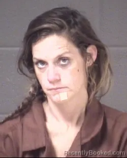 Mugshot of Elizabeth Anne Parsons booked in Buncombe County, North Carolina on August 20, 2026