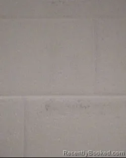 Mugshot of EDEN NICOLE STROTHER booked in Buncombe County, North Carolina on April 4, 2026