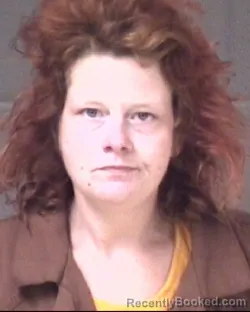 Mugshot of ELIZABETH HOPE WALLACE booked in Buncombe County, North Carolina on June 30, 2026