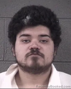 Mugshot of EMANUEL WILLIAM WILDER