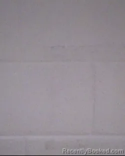 Mugshot of ELLIOT JAMES ZIEGLER booked in Buncombe County, North Carolina on March 22, 2026