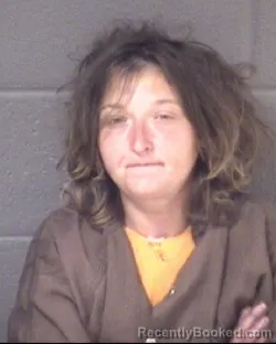 Mugshot of FELICIA DAWN CRANFORD booked in Buncombe County, North Carolina on May 24, 2026