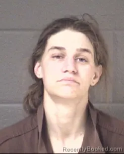 Mugshot of FELICIA DESIREE HAMILTON booked in Buncombe County, North Carolina on May 10, 2026