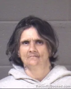 Mugshot of FRANCES LEA ANN MOUNCE booked in Buncombe County, North Carolina on May 21, 2026