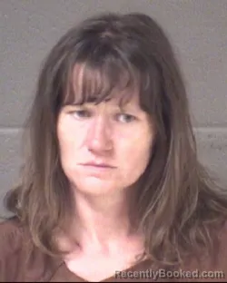Mugshot of GILLIAN BROOKE ANDERSON booked in Buncombe County, North Carolina on July 4, 2026