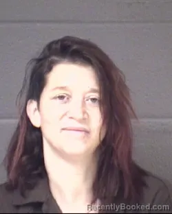 Mugshot of HEATHER LYNN BROWN