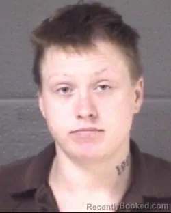 Mugshot of HOLLY MARIE BROWN