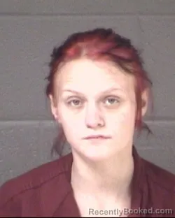 Mugshot of HARLEE MARIE HUNTER