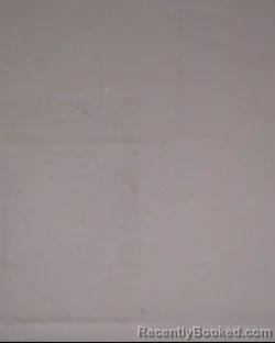 Mugshot of HALEY NICOLE MOORE