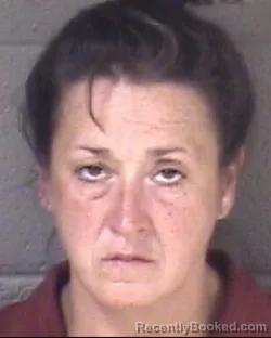 Mugshot of HEATHER HAMILTON PENNINGER booked in Buncombe County, North Carolina on May 14, 2026