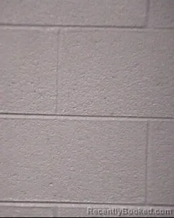 Mugshot of IAN LANDON WILLIAMS