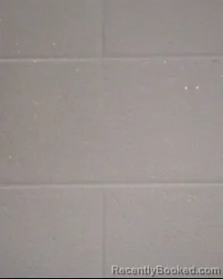 Mugshot of JADE BURKE booked in Buncombe County, North Carolina on March 12, 2026