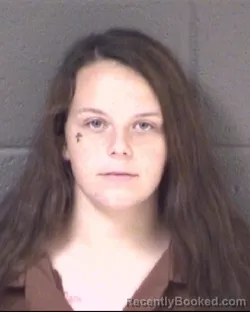 Mugshot of Joanna Dawn Boyd booked in Buncombe County, North Carolina on August 31, 2026