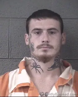 Mugshot of JONATHAN RUSSELL BROWN booked in Buncombe County, North Carolina on July 20, 2026