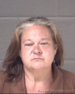 Mugshot of Joann Collins booked in Buncombe County, North Carolina on September 3, 2026