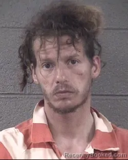 Mugshot of JEREMI DIXON CHANEY booked in Buncombe County, North Carolina on July 24, 2026